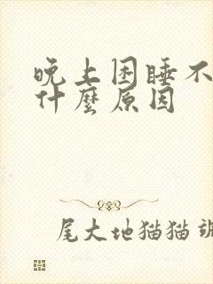 晚上困睡不着是什么原因