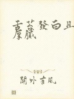 舌苔发白且发黄厚腻