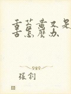 舌苔黄又是齿痕舌怎么办