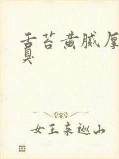 舌苔黄腻厚 口臭