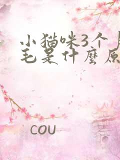 小猫咪3个月掉毛是什么原因