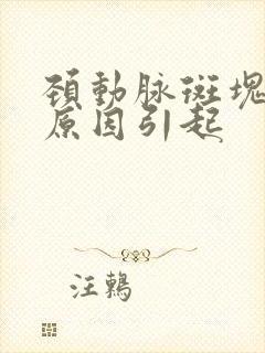 颈动脉斑块什么原因引起