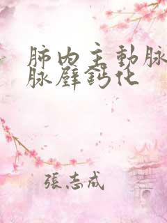 肺内主动脉及冠脉壁钙化