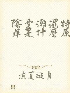 阴囊潮湿特别瘙痒是什么原因?