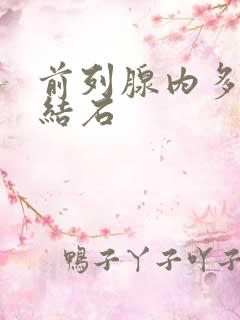 前列腺内多发性结石