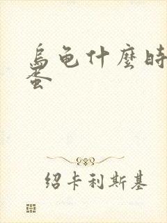 乌龟什么时候生蛋