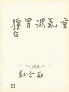 脾胃湿气重的舌苔