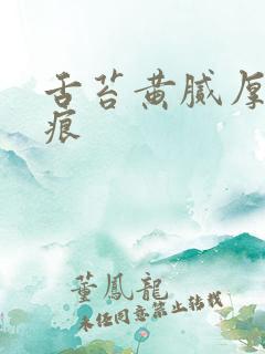 舌苔黄腻厚有齿痕