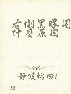 右侧黑眼圈重是什么原因