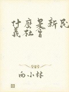 什么是新民主主义社会