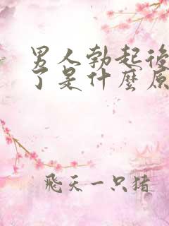 男人勃起后又软了是什么原因