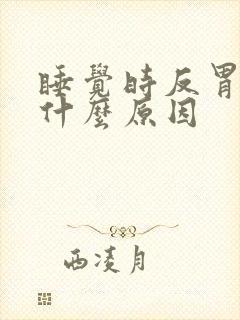 睡觉时反胃想吐什么原因