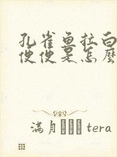 孔雀鱼拉白色的便便是怎么回事