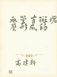 血管有斑块是怎么形成的