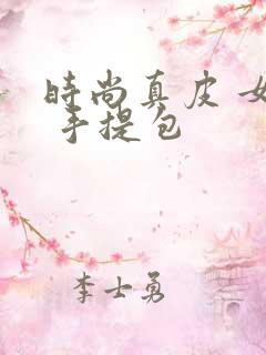 时尚真皮 女包 手提包