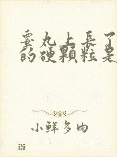 睾丸上长了白色的硬颗粒是什么