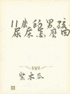 11岁的男孩子尿床怎么回事