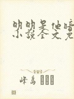 明明是他暗恋我小说全文免费阅读