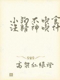 小狗不吃食呕吐没精神吃什么药