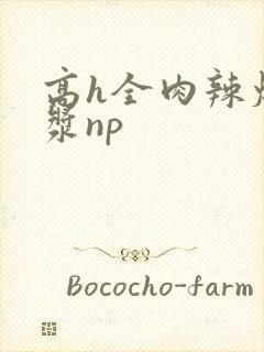 高h全肉辣爆灌浆np