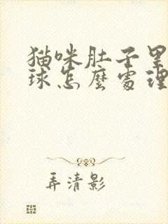 猫咪肚子里有毛球怎么处理