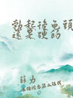 勃起后龟头是软还是硬的