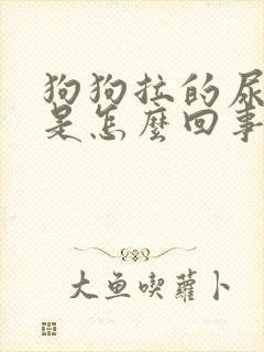 狗狗拉的尿很黄是怎么回事