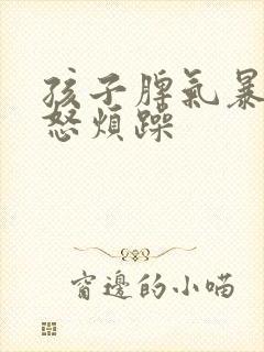 孩子脾气暴躁易怒烦躁