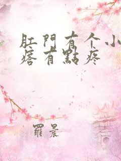 肛门有个小硬疙瘩有点疼