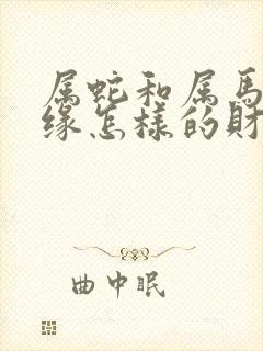 属蛇和属马的姻缘怎样的财运