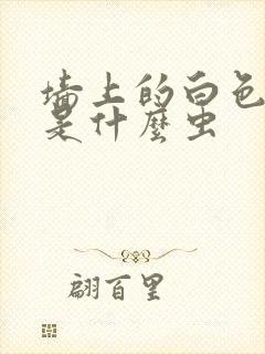 墙上的白色虫子是什么虫