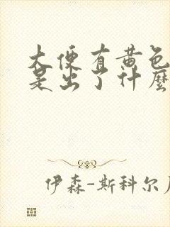 大便有黄色粘液是出了什么问题啊