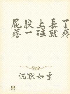 屁股上长了个疙瘩一碰就疼