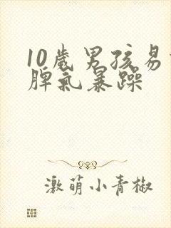 10岁男孩易怒脾气暴躁