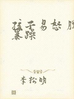 孩子易怒 脾气暴躁