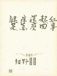 腿痒还起红疙瘩是怎么回事