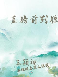 直肠前列腺超声