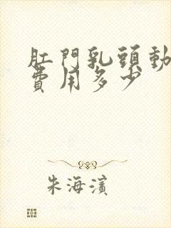 肛门乳头动手术费用多少