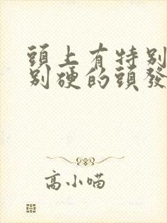 头上有特别粗特别硬的头发