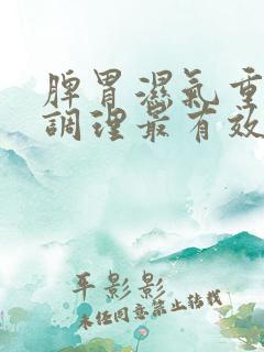 脾胃湿气重怎么调理最有效