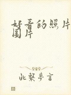 好看的照片背景图片