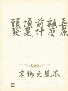 头顶前额长白头发是什么原因造成的