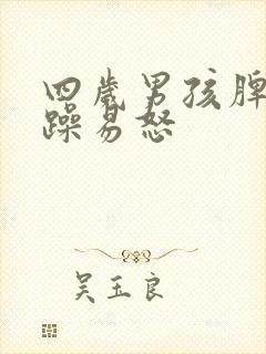 四岁男孩脾气暴躁易怒