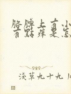 胳膊上有小红点有点痒是怎么回事