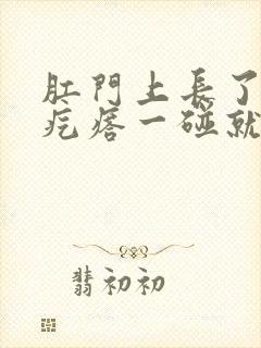 肛门上长了个肉疙瘩一碰就疼