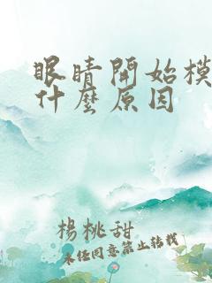 眼睛开始模糊是什么原因