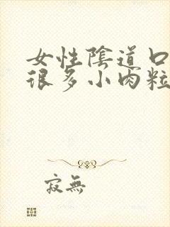 女性阴道口起了很多小肉粒