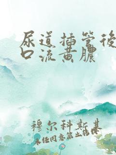 尿道插管后尿道口流黄脓