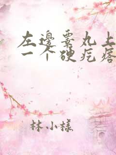 左边睾丸上长了一个硬疙瘩