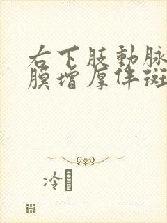 右下肢动脉内中膜增厚伴斑块形成